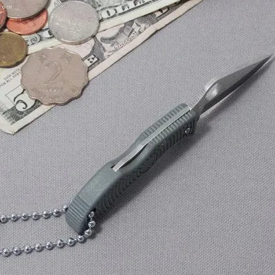 【Spyderco】レディバグ3