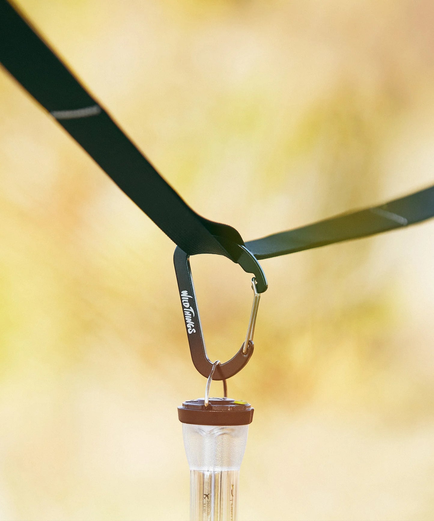 【WILD THINGS】THE PX CARABINER M|カラビナ M 30%OFF