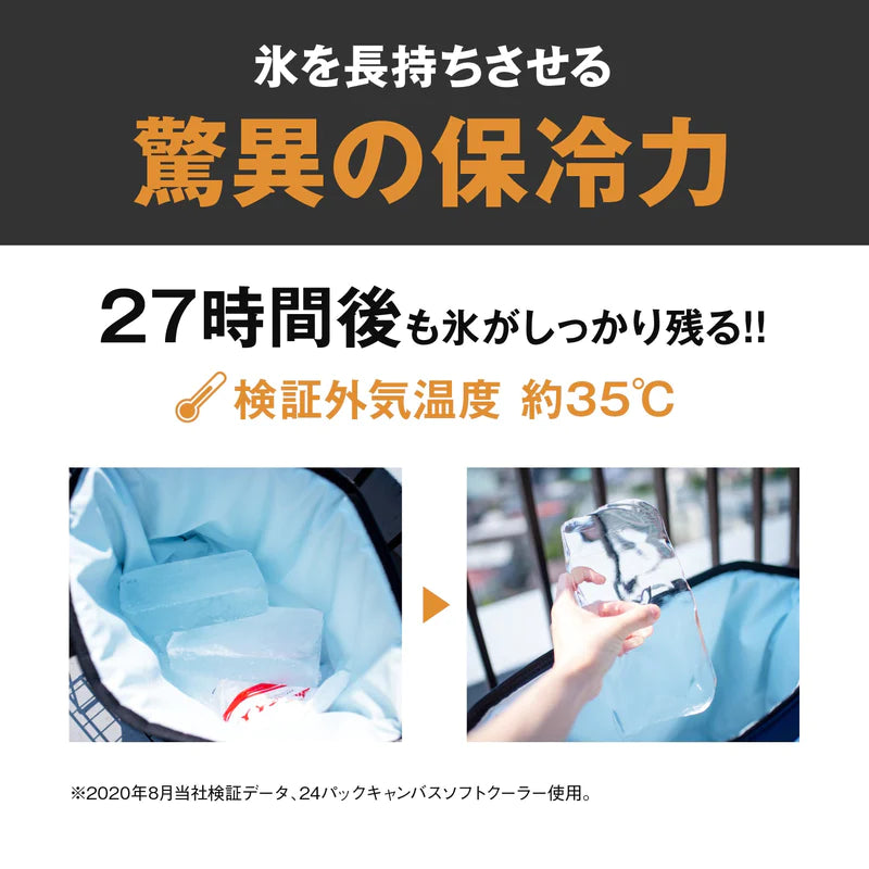 【AO Coolers】AOクーラー 24・36pack キャンバスソフトクーラ ブレイクアップ