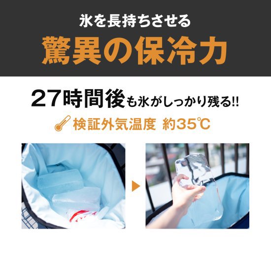 【AO Coolers】 12パック キャンバス ソフトクーラー ブラック