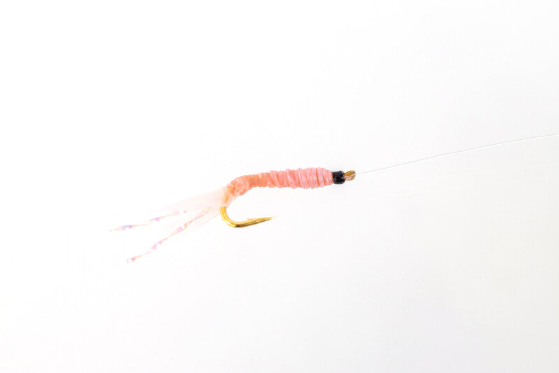 【be GOOD fun EGG】GOOD RIG サビキ仕掛け 30%OFF