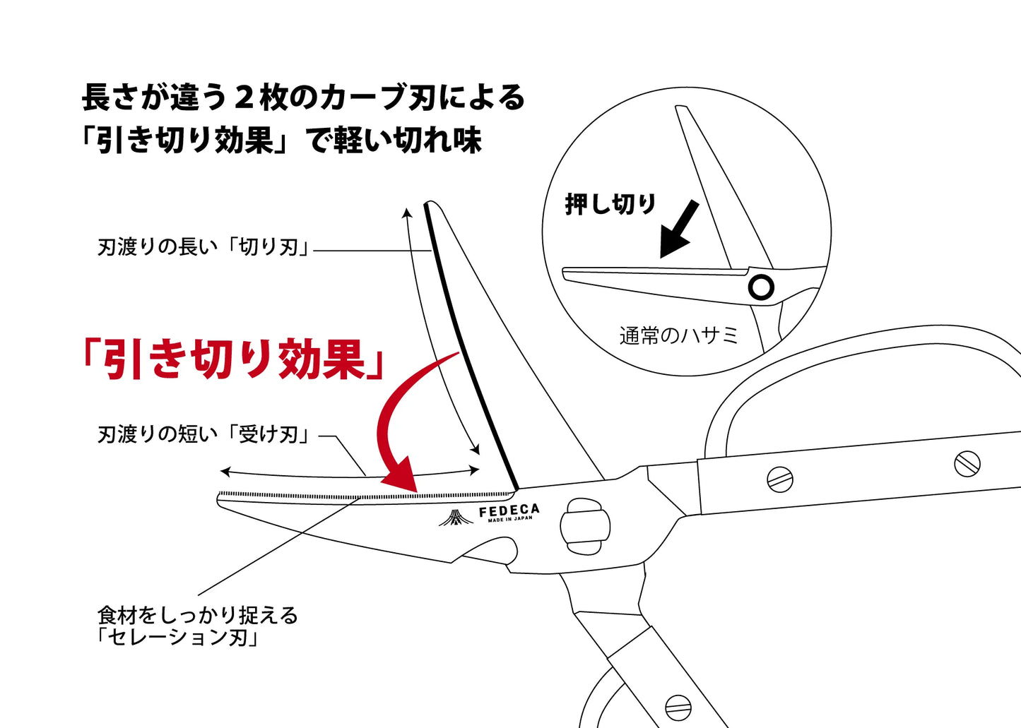 【FEDECA】キッチンハサミ