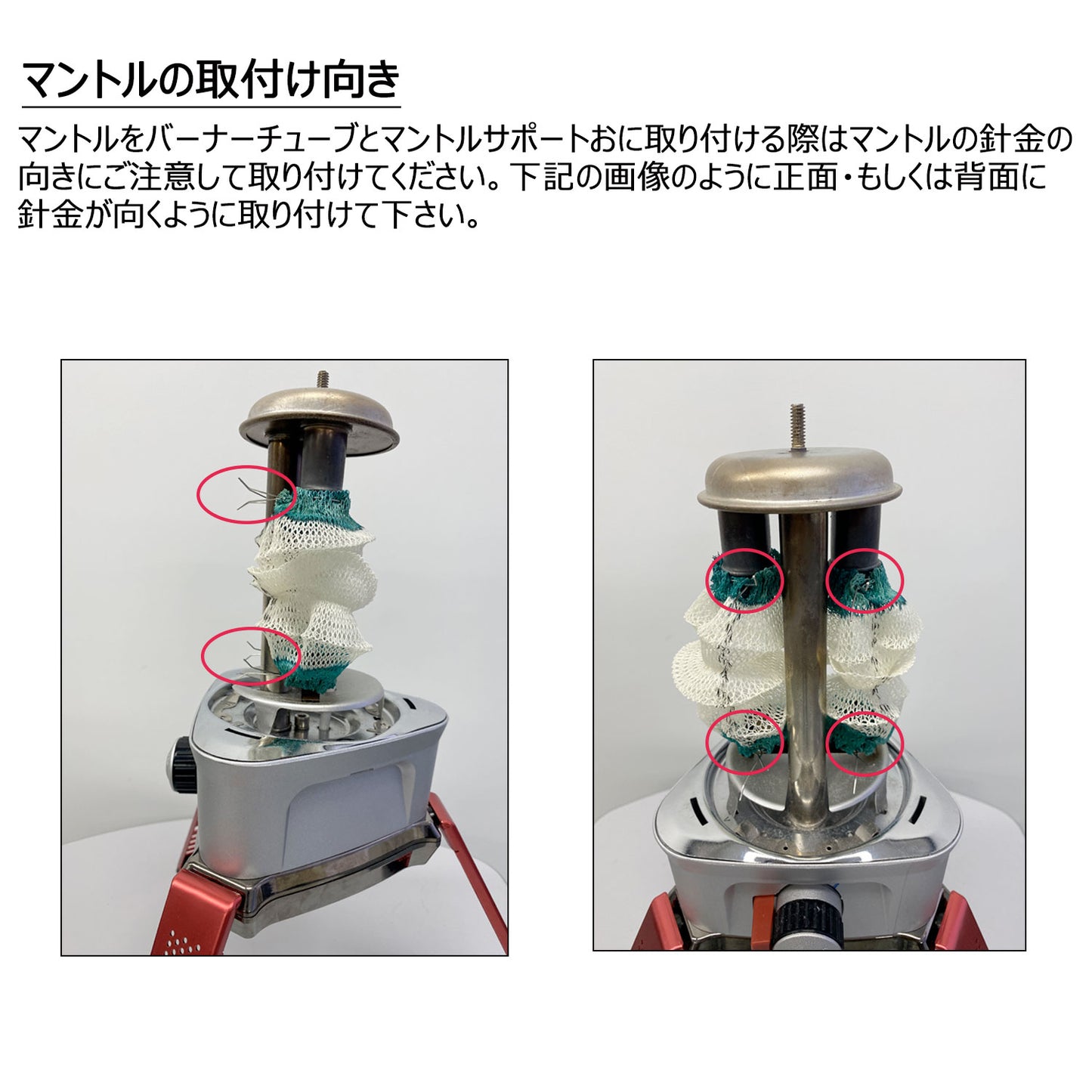 【Coleman】ノーザンノバ(TM) 50%OFF