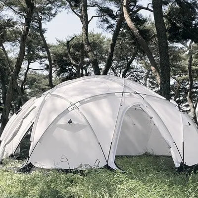 【ground cover】 Acorn house 4.75