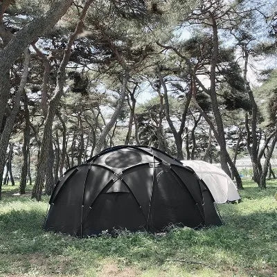 【ground cover】 Acorn house 4.75