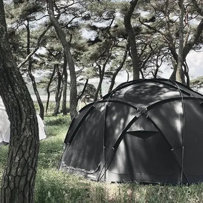 【ground cover】 Acorn house 4.75