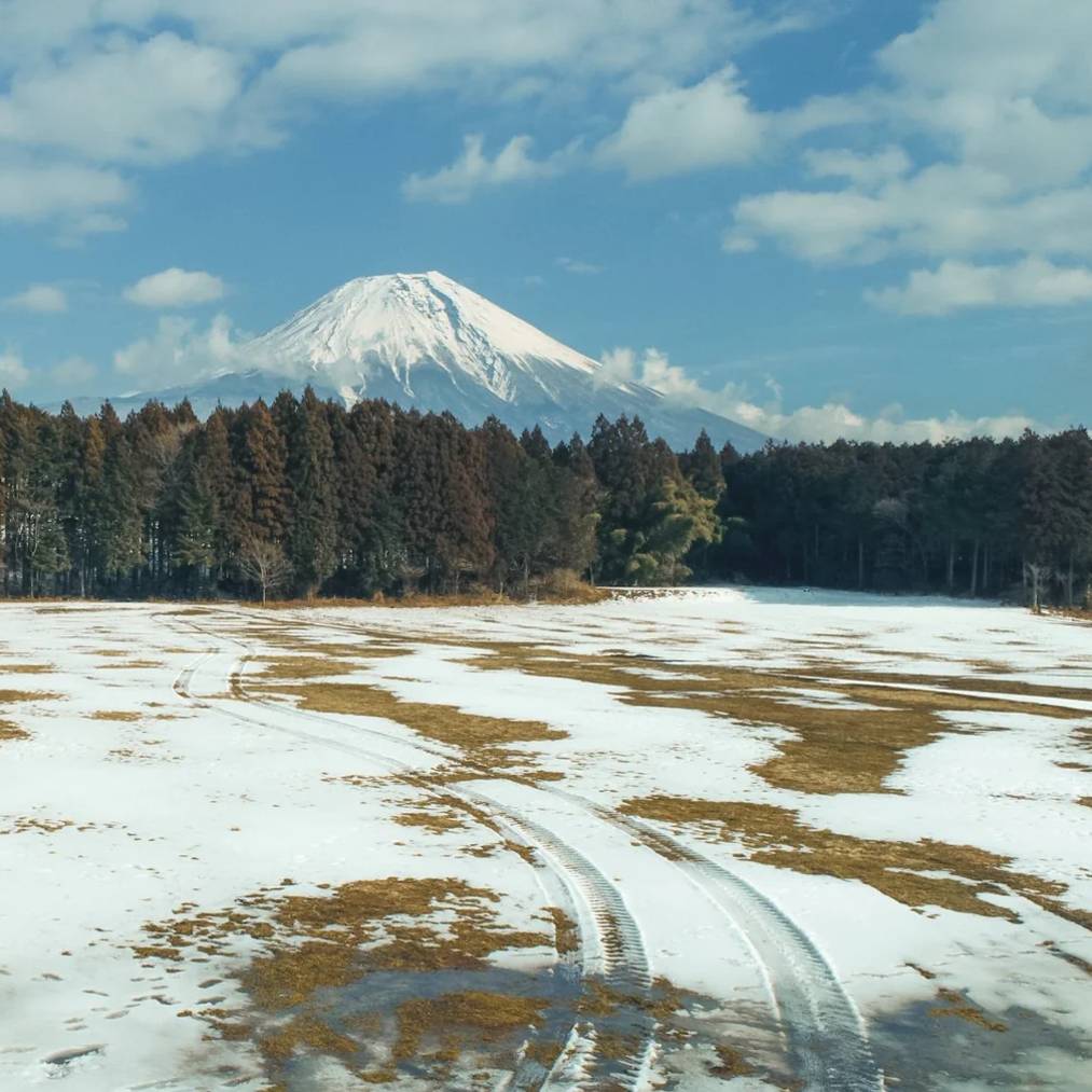 【TOKYO CRAFTS】ウィングフォート（４人用インナーテント付属）