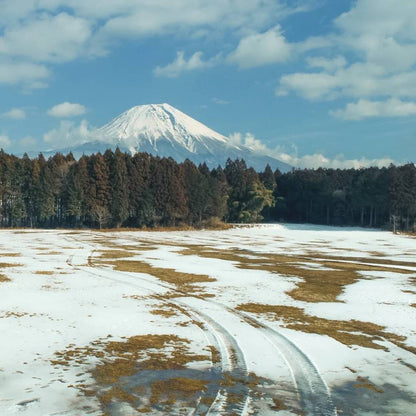 【TOKYO CRAFTS】ウィングフォート（４人用インナーテント付属）