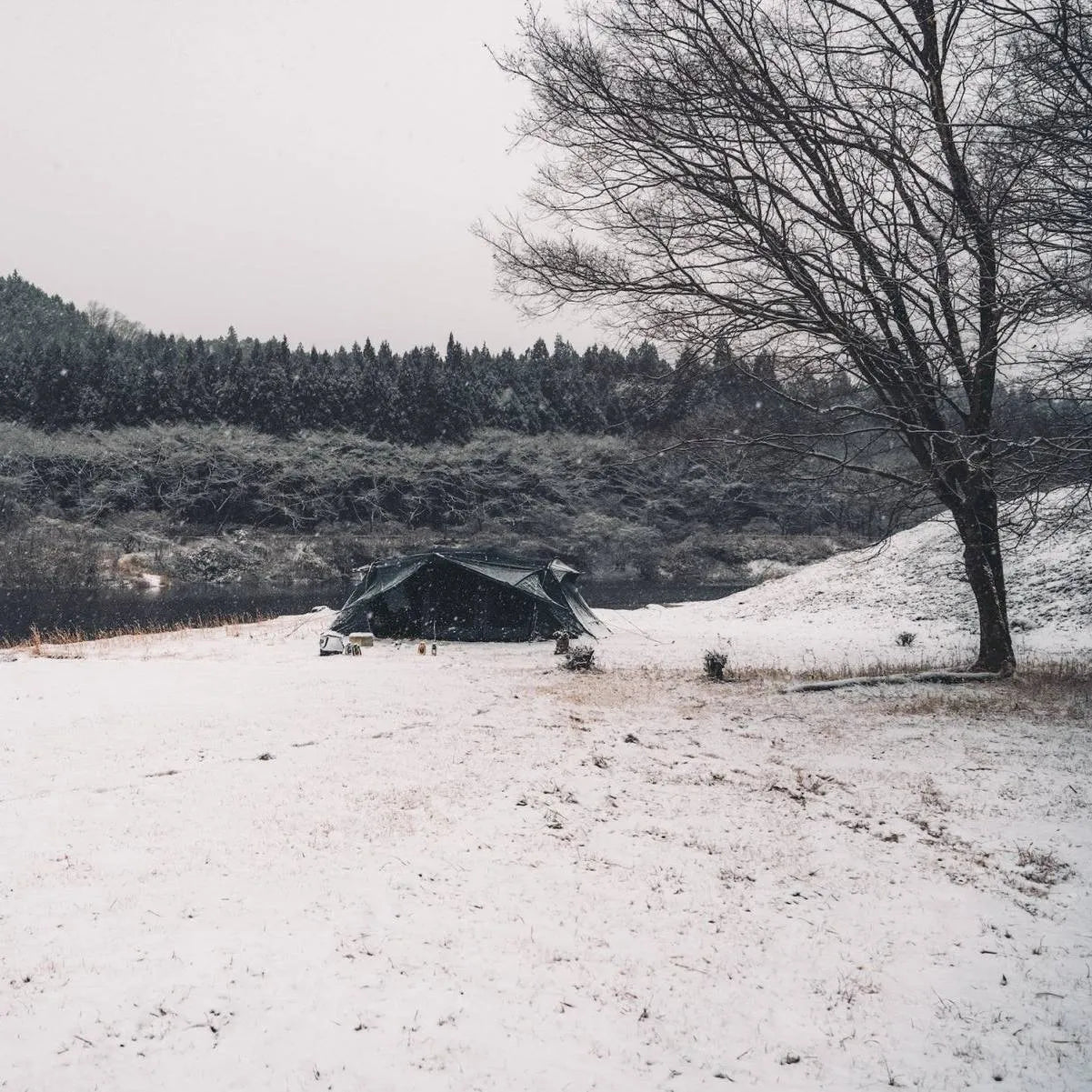 【TOKYO CRAFTS】ウィングフォート（４人用インナーテント付属）