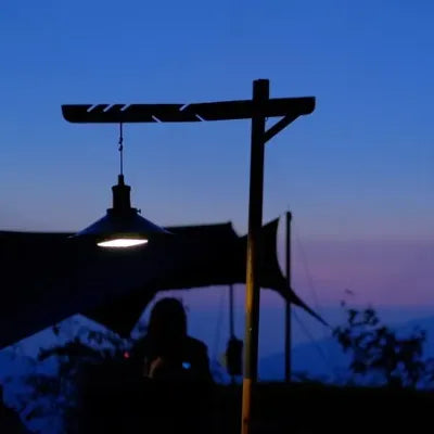 【BLACK DESIGN】シダレ桜