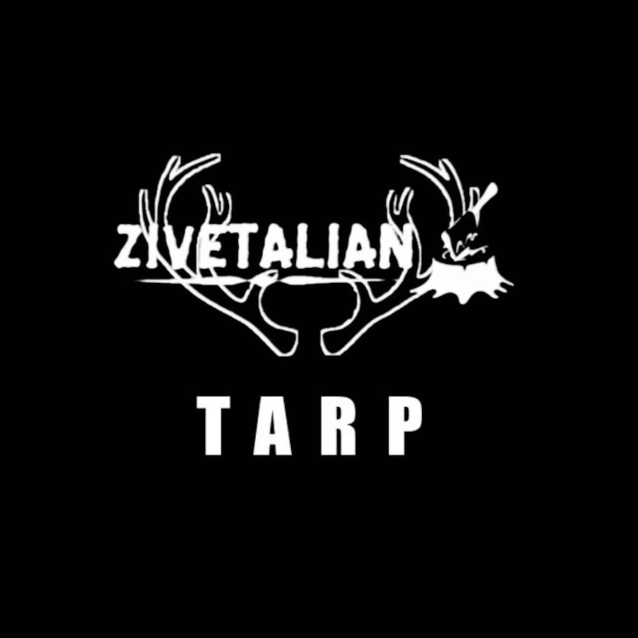 【ZIVETALIAN】ZIVEタープ44 《黒》