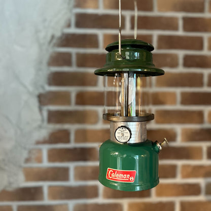 【VINTAGE】Coleman335 76/1