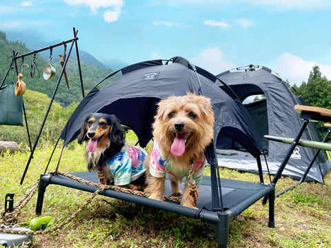 【5050WORKSHOP】5050PET ANML TENT (M)
