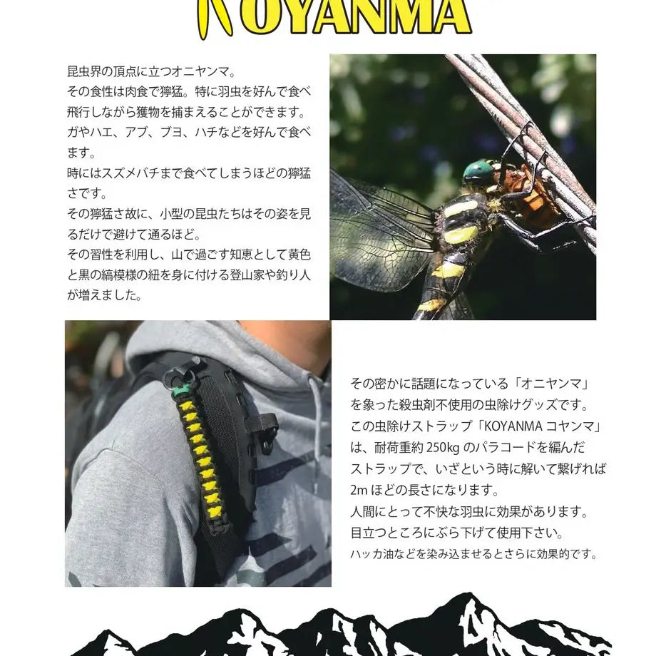【NEW CURRENT WORKS】KOYANMA（コヤンマ）